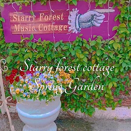 Cats,Piano & Starry Sky Resort Garden -Starry Forest Cottage Okinawa- Онна Экстерьер фото