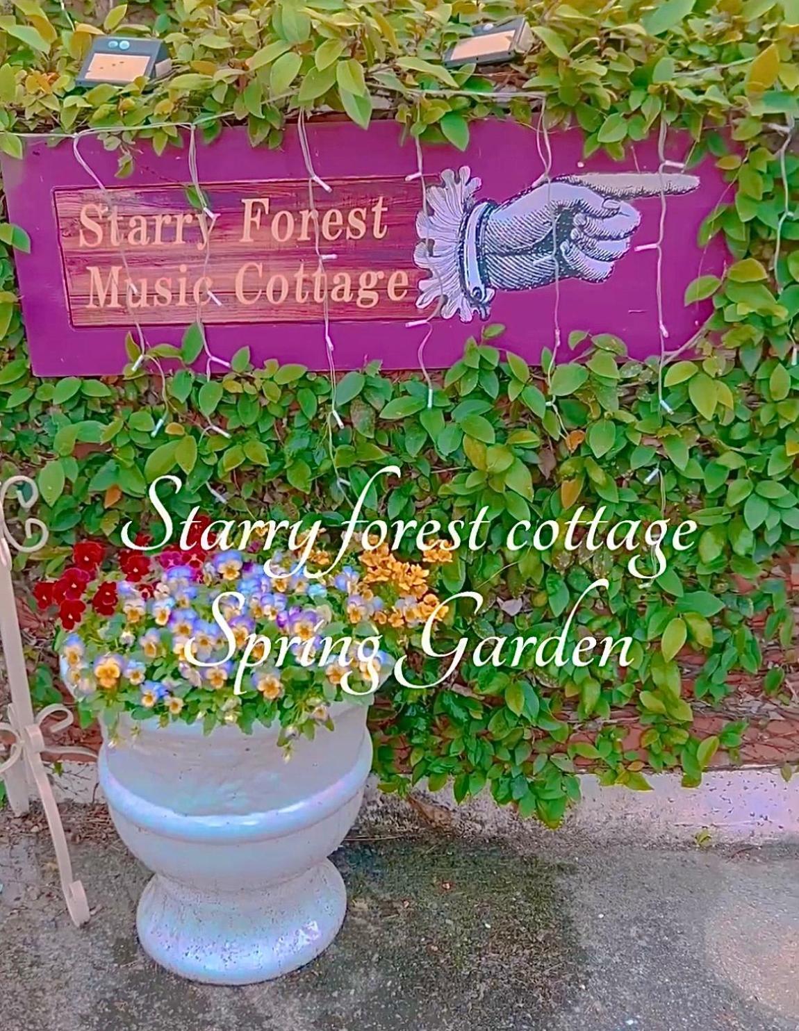 Cats,Piano & Starry Sky Resort Garden -Starry Forest Cottage Okinawa- Онна Экстерьер фото