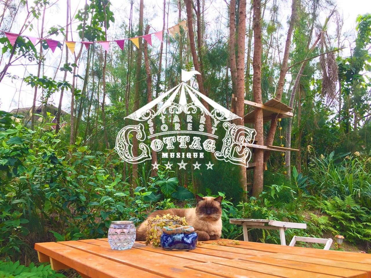 Cats,Piano & Starry Sky Resort Garden -Starry Forest Cottage Okinawa- Онна Экстерьер фото